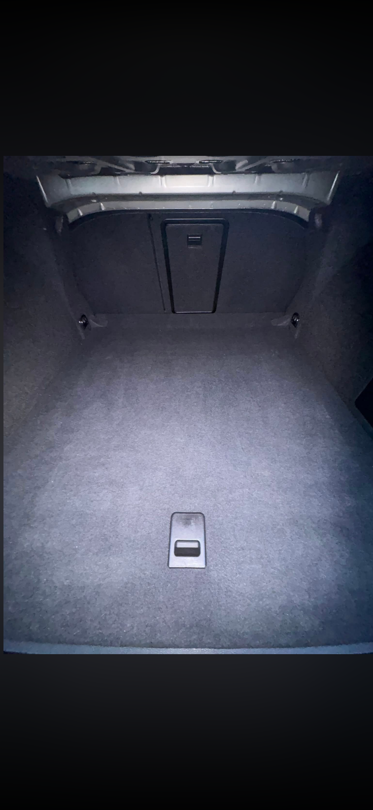 Before trunk detail