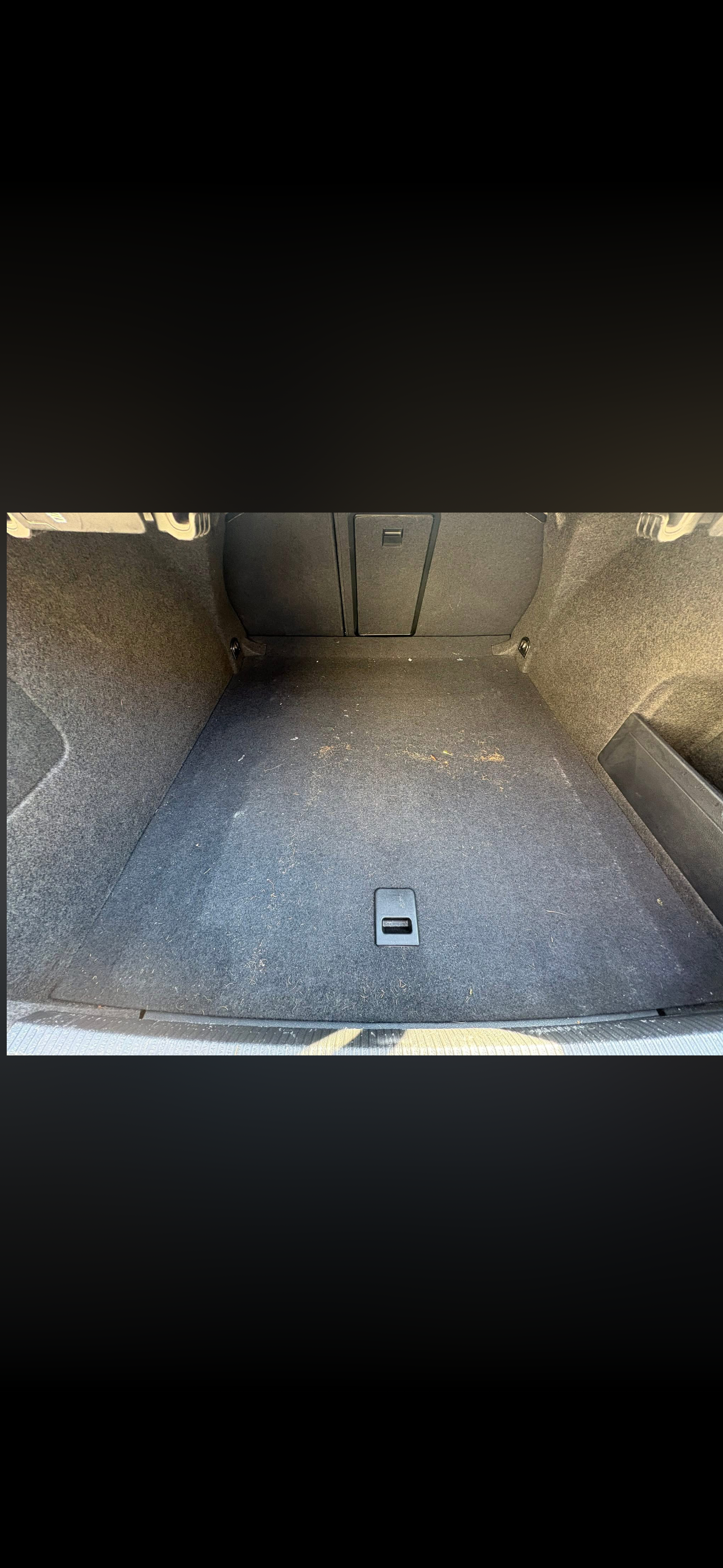 After trunk detail
